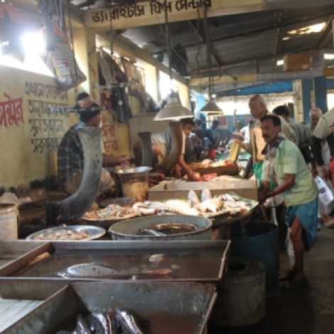 Kolkata Fish Market (1)