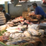 Kolkata Fish Market (2)